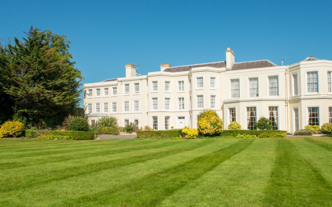Five Questions At the Beeches